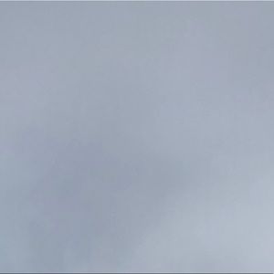 Meet your Posher, Isabelle